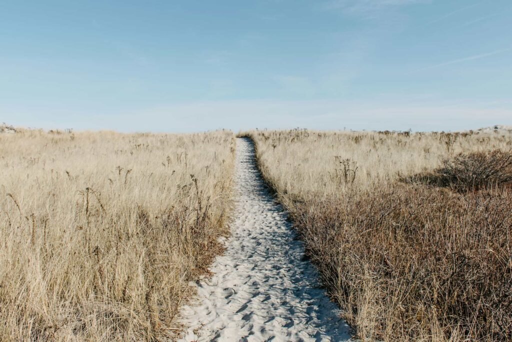 cammini storici Toscana pellegrini moderni, Toscana a passo di pellegrino: il richiamo antico dei sentieri che trasformano