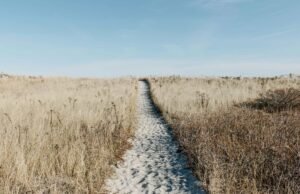 Toscana a passo di pellegrino: il richiamo antico dei sentieri che trasformano