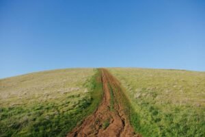 Ritornano le Giornate Nazionali dei Castelli viaggi-natura-cammino