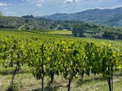 Barolo e Timorasso a Milano: quando il grande vino piemontese conquista la città
