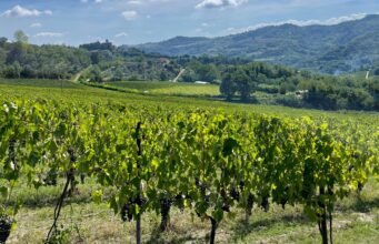 Barolo e Timorasso a Milano: quando il grande vino piemontese conquista la città No News la rivista dell'ozio e della serendipità, Ozio e serendipità