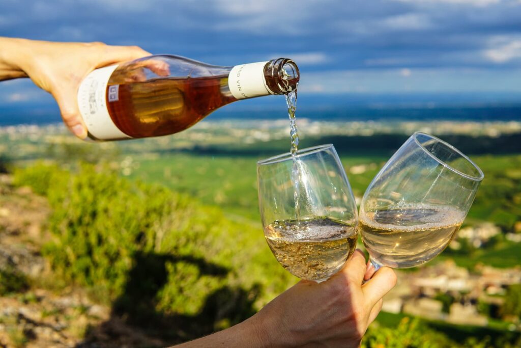 cosa sono i vini biosimbiotici, Vino biosimbiotico: l’avanguardia del bere naturale