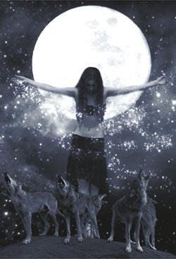 Il marchio cinese Wolf Totem